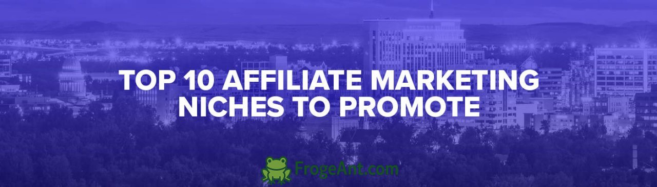 What is the best niche to promote in Eleavers and StudAds for ClickBank products?