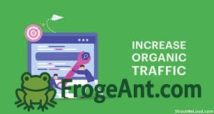 How do I increase organic traffic without SEO expertise?